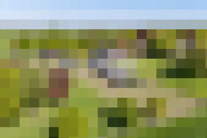 Lageweg 29 a Noordlaren thumbnail 4