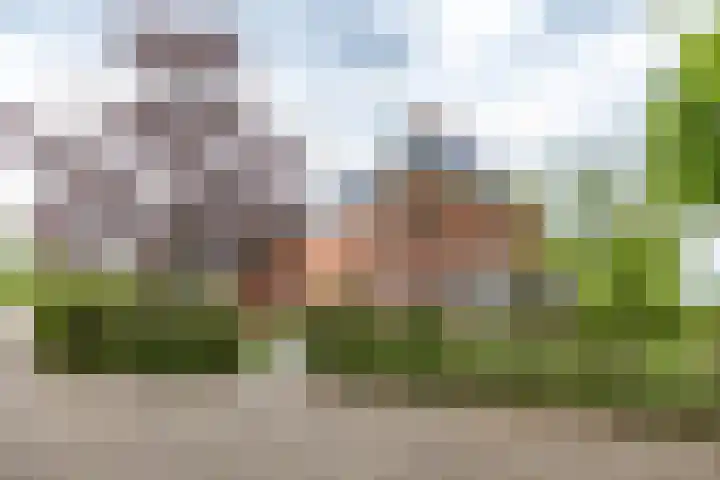 Lageweg 29 a Noordlaren thumbnail 6
