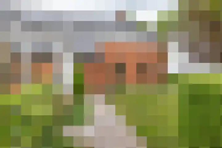 Lageweg 29 a Noordlaren thumbnail 8