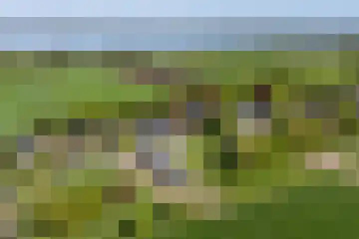 Lageweg 29 Noordlaren thumbnail 10