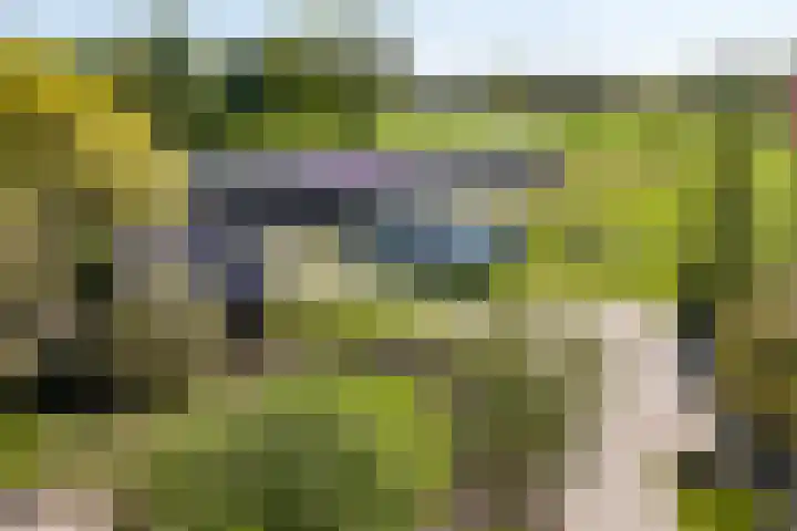 Lageweg 29 Noordlaren thumbnail 12