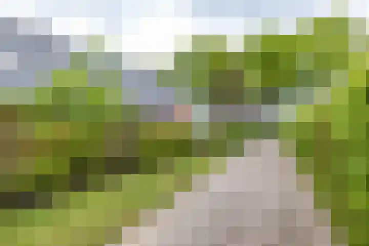 Lageweg 29 Noordlaren thumbnail 120