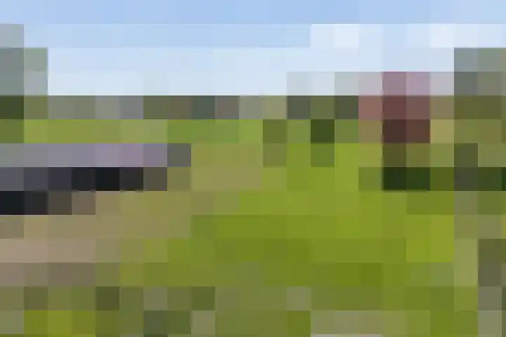 Lageweg 29 Noordlaren thumbnail 13