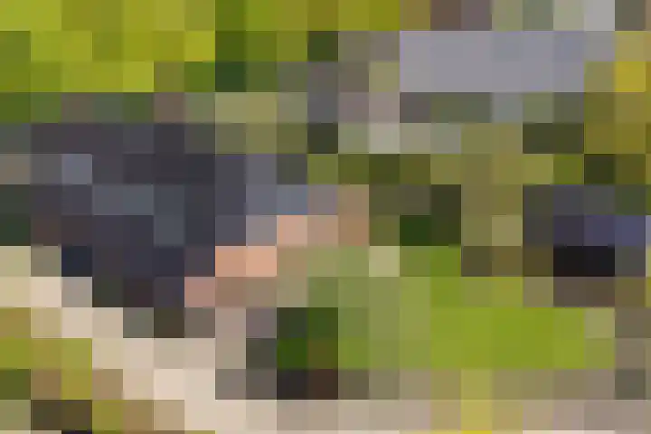 Lageweg 29 Noordlaren thumbnail 16