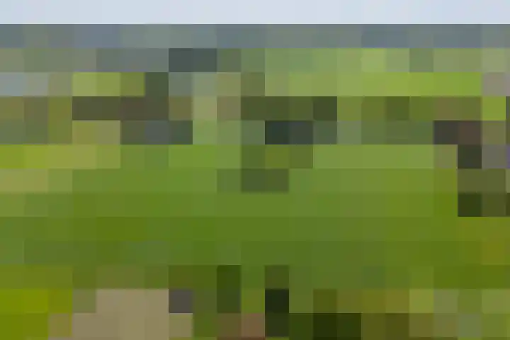 Lageweg 29 Noordlaren thumbnail 17