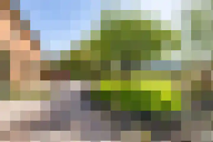 Lageweg 29 Noordlaren thumbnail 21