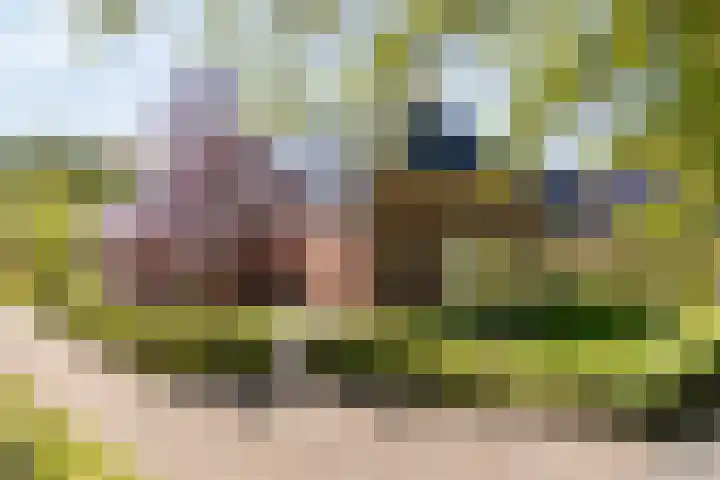 Lageweg 29 Noordlaren thumbnail 7