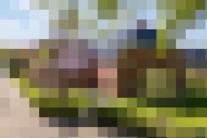 Lageweg 29 Noordlaren thumbnail 8