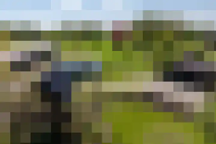 Lageweg 29 Noordlaren thumbnail 9