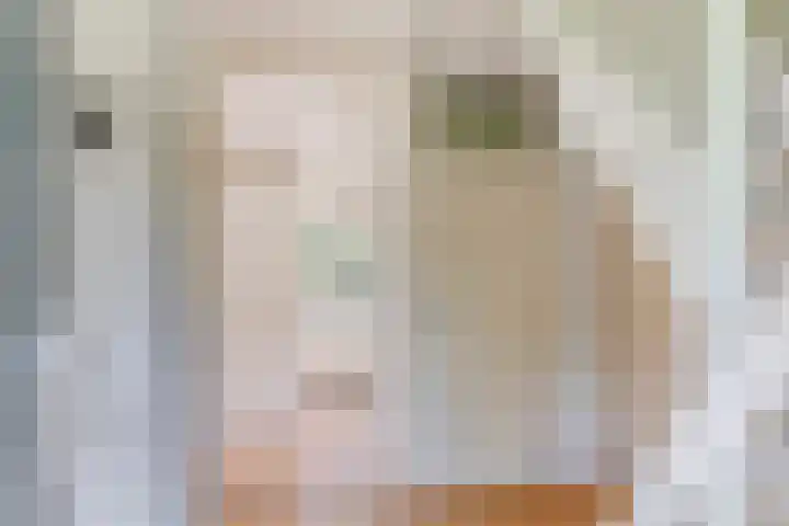 Lageweg 3 Eenrum thumbnail 10