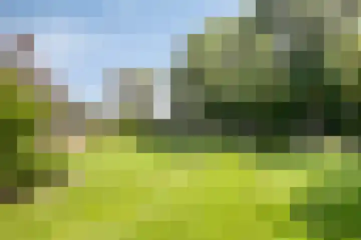 Lageweg 3 Eenrum thumbnail 30