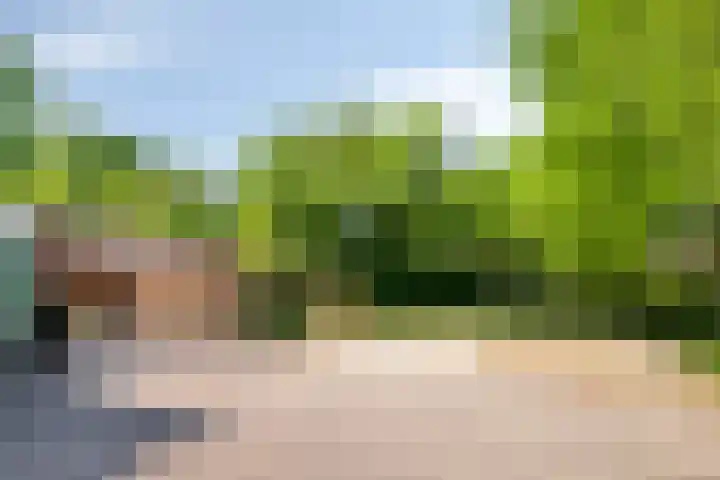 Lageweg 3 Eenrum thumbnail 31
