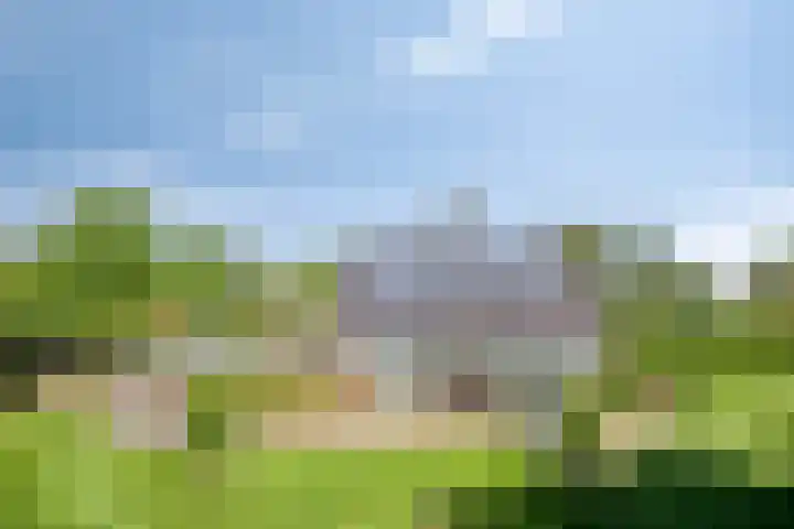 Lageweg 3 Eenrum thumbnail 33