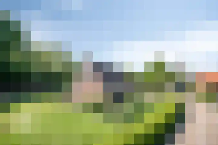 Lageweg 3 Eenrum thumbnail 37