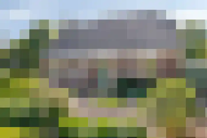 Lageweg 3 Eenrum thumbnail 7