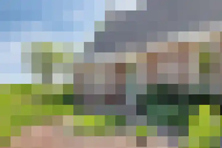 Lageweg 3 Eenrum thumbnail 8