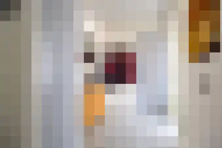Lageweg 3 Uithuizen thumbnail 12