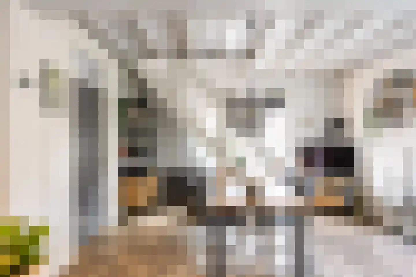 Lageweg 3 Uithuizen thumbnail 30
