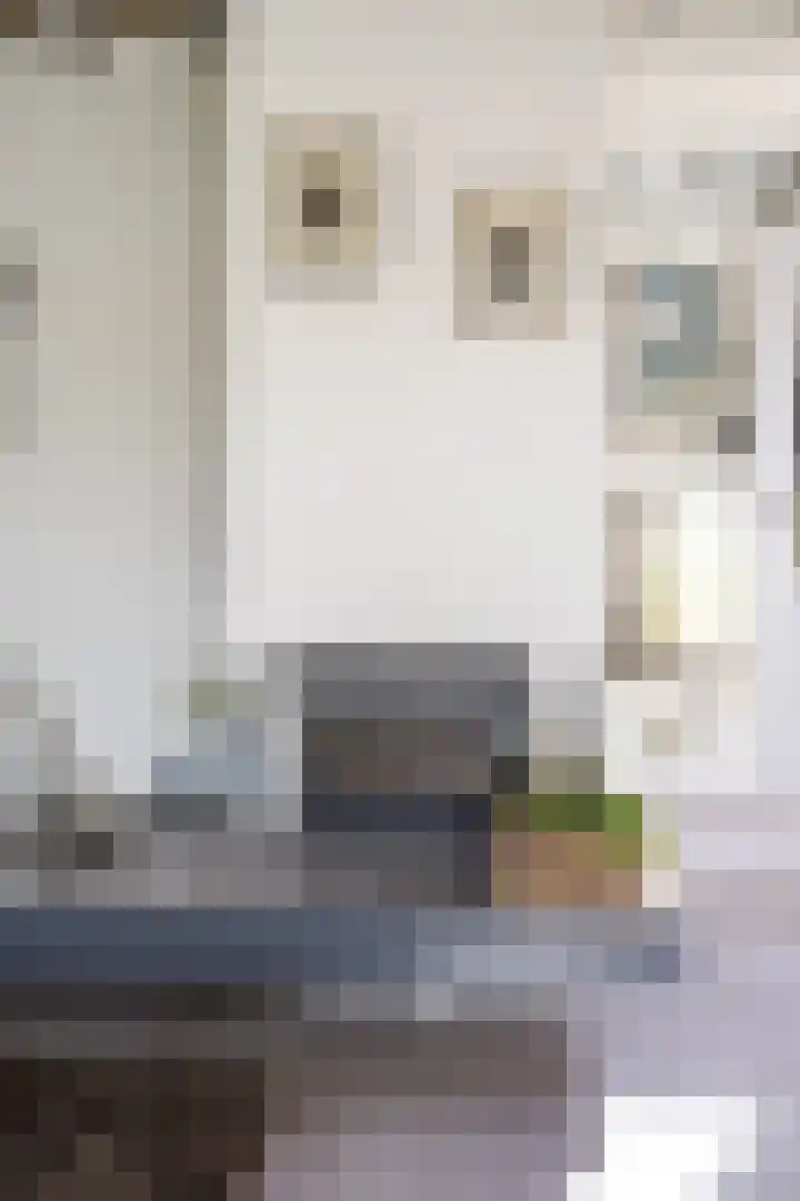 Lageweg 3 Uithuizen thumbnail 34