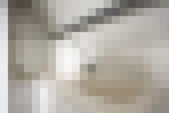 Lageweg 3 Uithuizen thumbnail 43