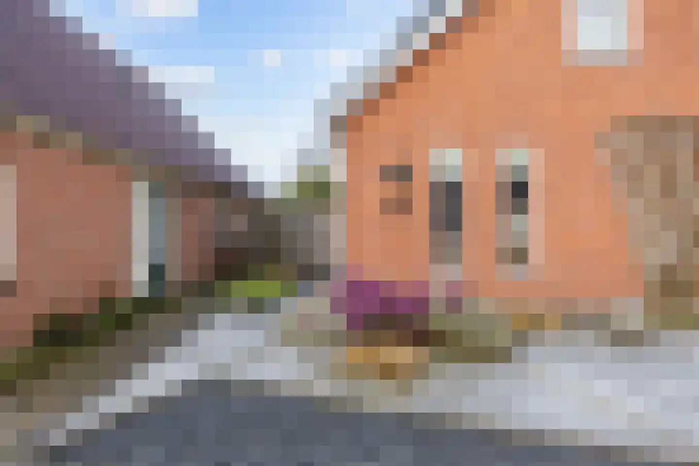 Lageweg 3 Uithuizen thumbnail 5