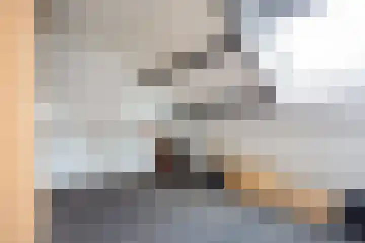 Lageweg 3 Uithuizen thumbnail 50