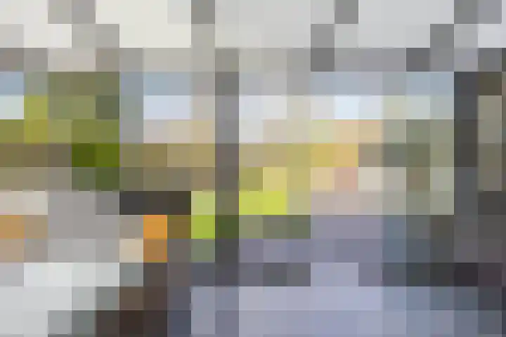 Lageweg 3 Uithuizen thumbnail 62