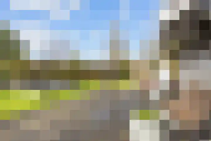Lageweg 3 Uithuizen thumbnail 67