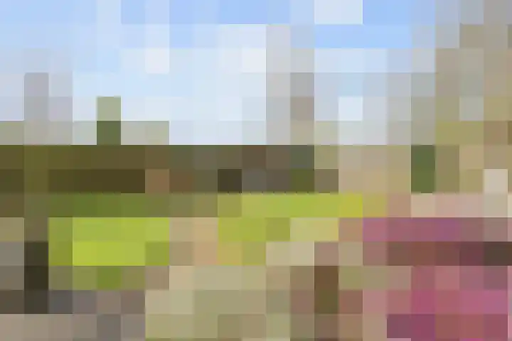 Lageweg 3 Uithuizen thumbnail 68