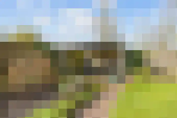 Lageweg 3 Uithuizen thumbnail 69