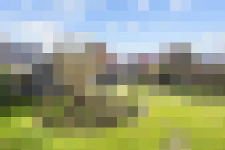 Lageweg 3 Uithuizen thumbnail 71