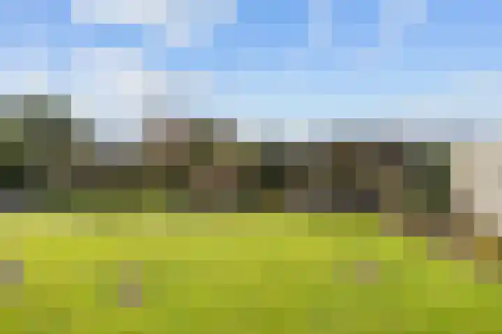 Lageweg 3 Uithuizen thumbnail 72