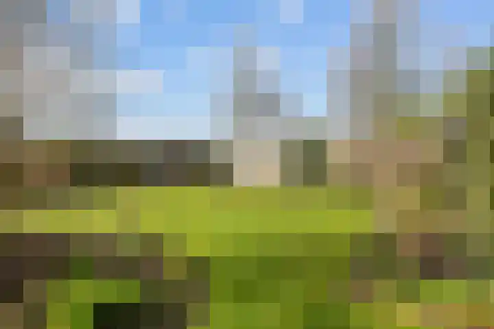 Lageweg 3 Uithuizen thumbnail 73