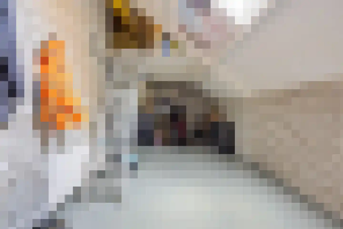 Lageweg 3 Uithuizen thumbnail 81