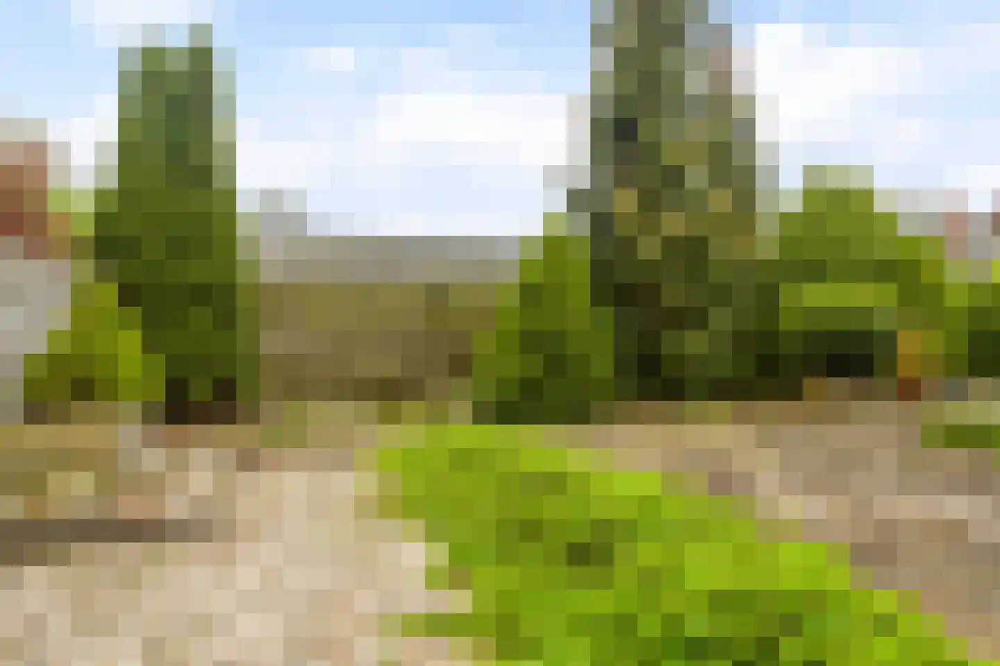 Lageweg 33 Burgum thumbnail 39
