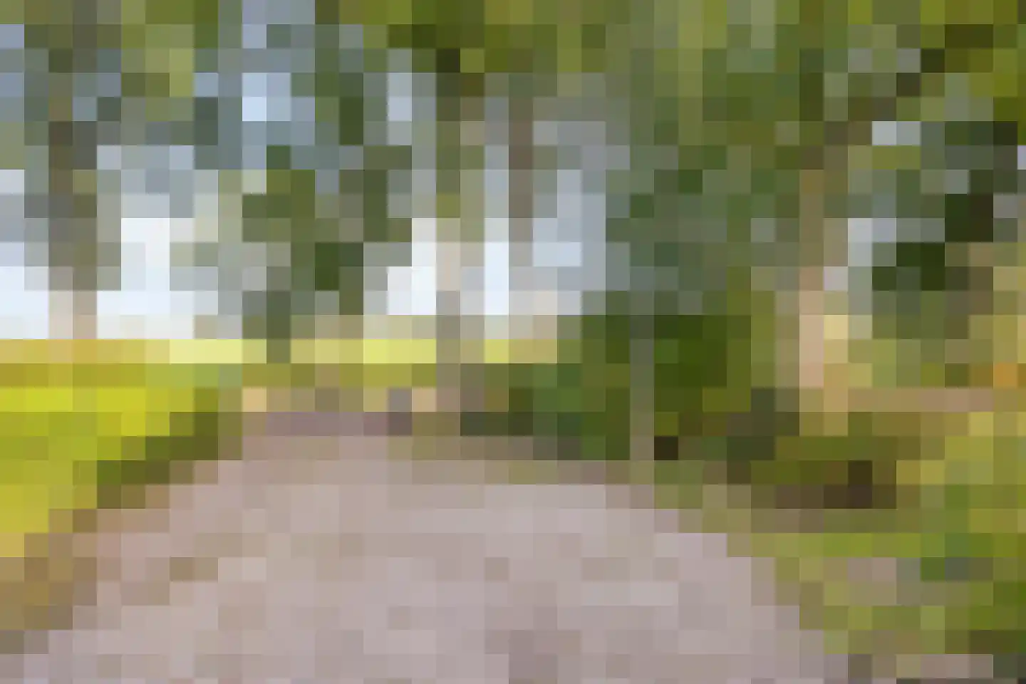 Lageweg 33 Noordlaren thumbnail 103