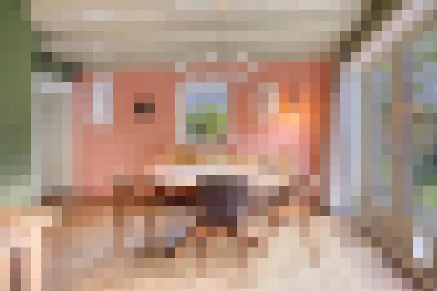 Lageweg 33 Noordlaren thumbnail 32