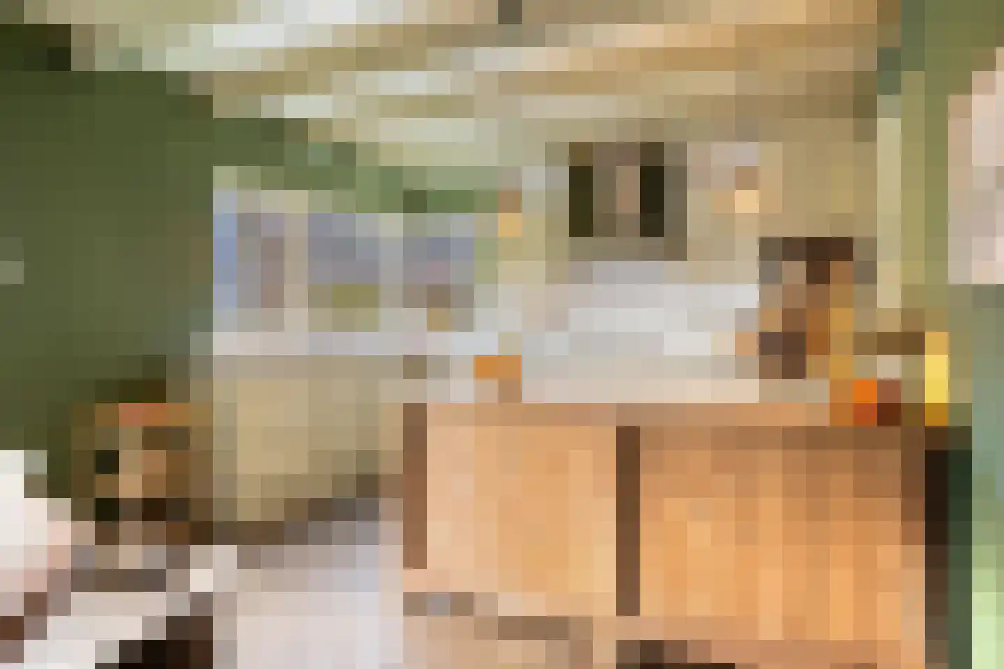 Lageweg 33 Noordlaren thumbnail 33
