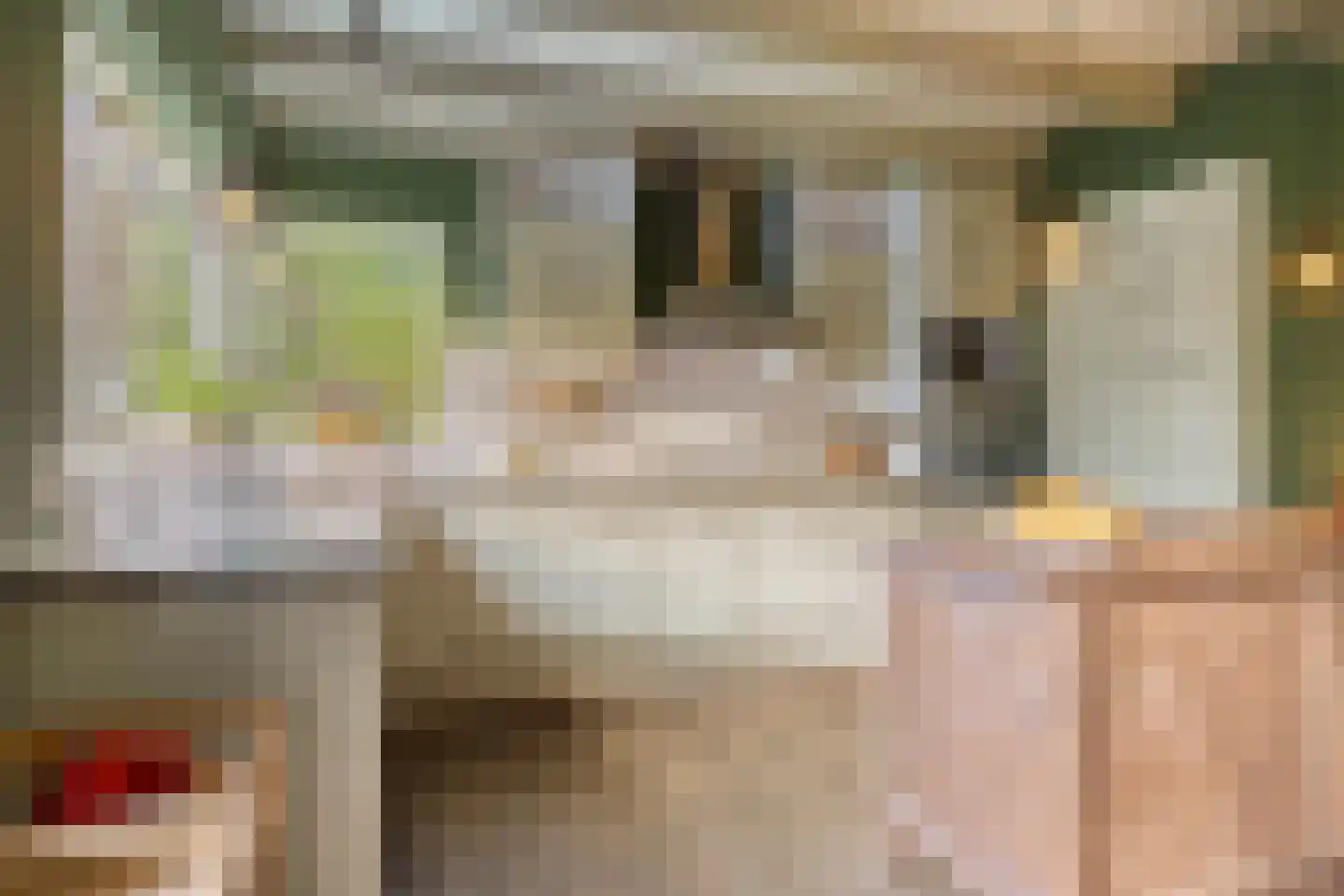 Lageweg 33 Noordlaren thumbnail 4