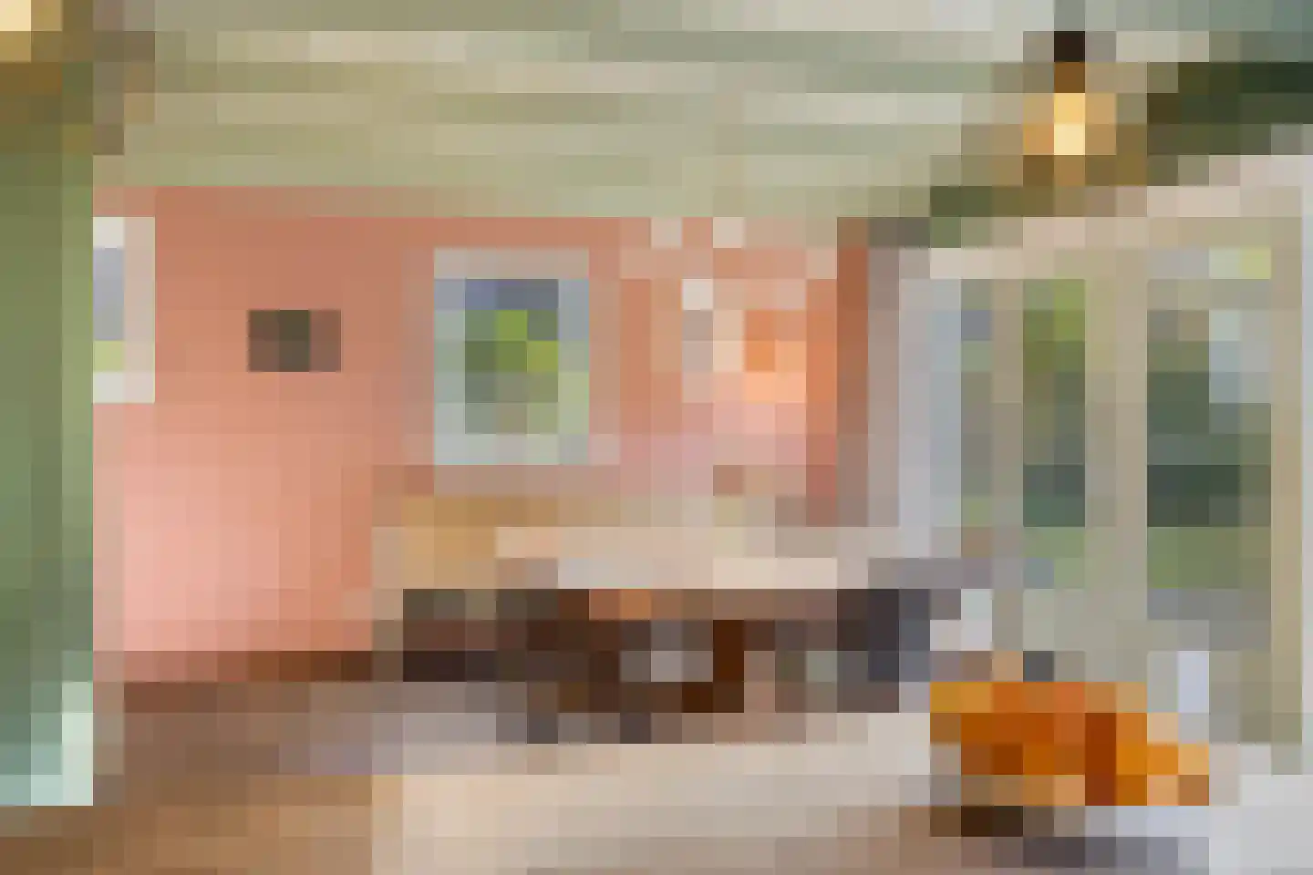 Lageweg 33 Noordlaren thumbnail 40