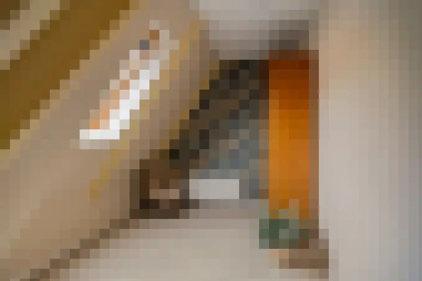 Lageweg 33 Noordlaren thumbnail 60