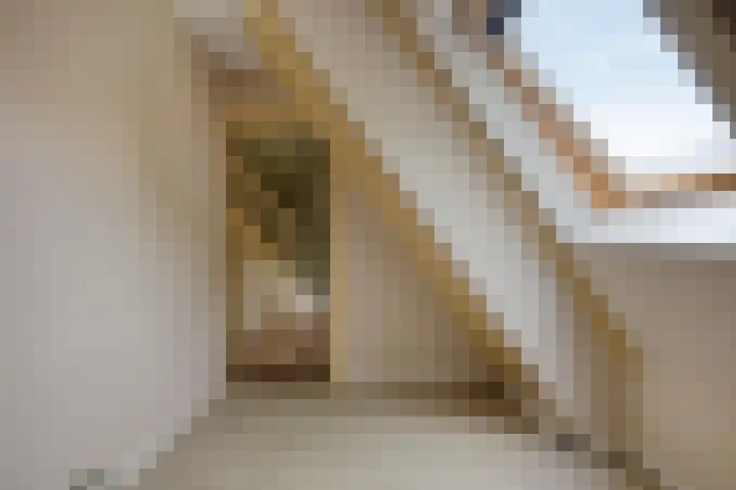Lageweg 33 Noordlaren thumbnail 61