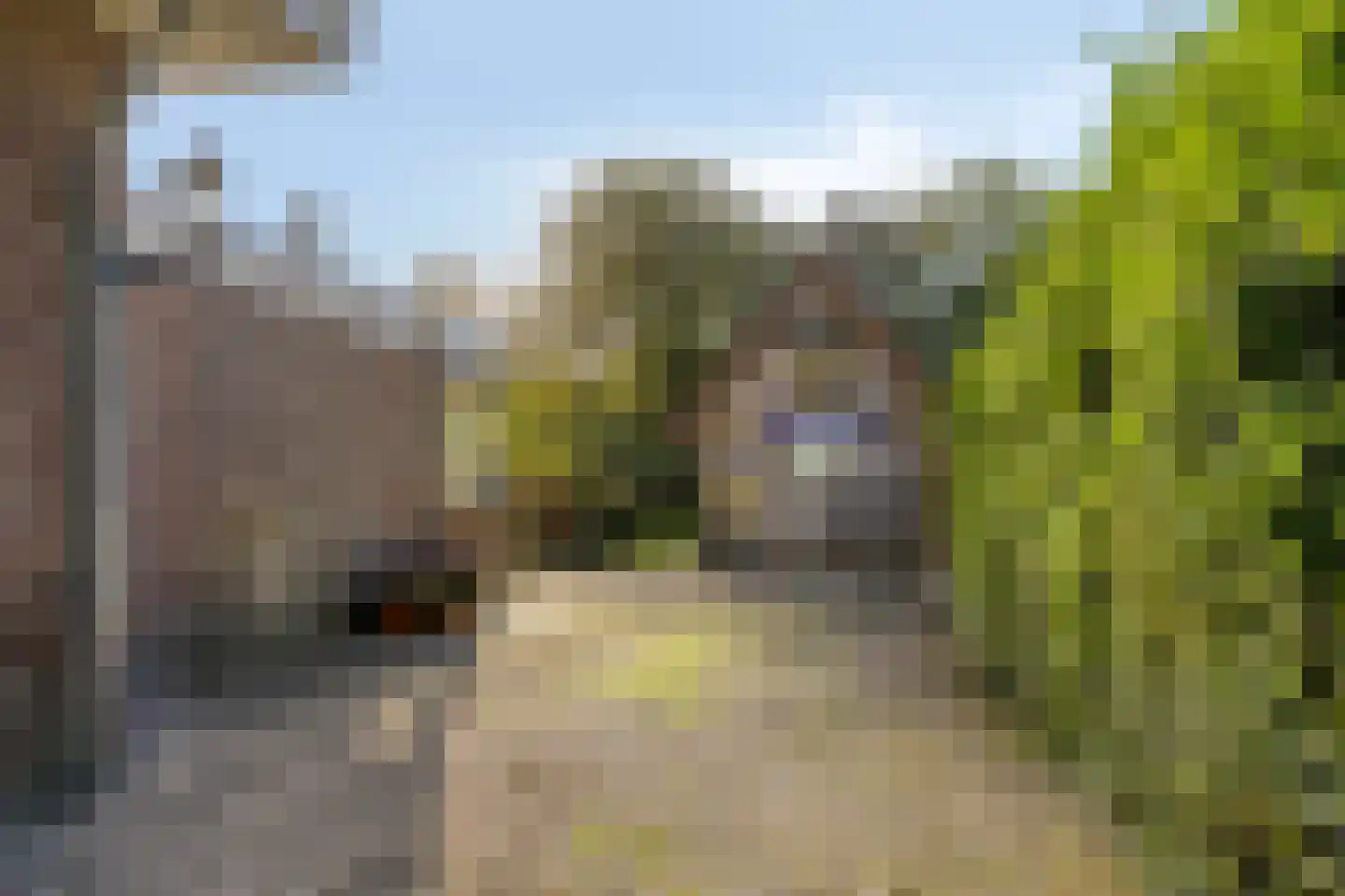 Lageweg 33 Noordlaren thumbnail 73