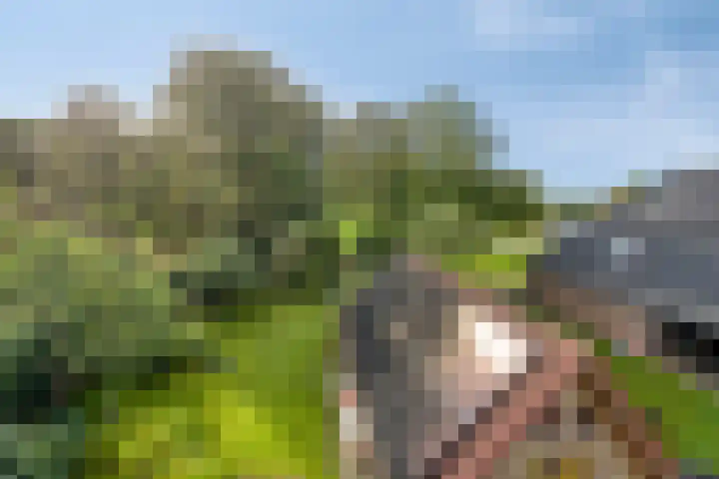 Lageweg 33 Noordlaren thumbnail 74