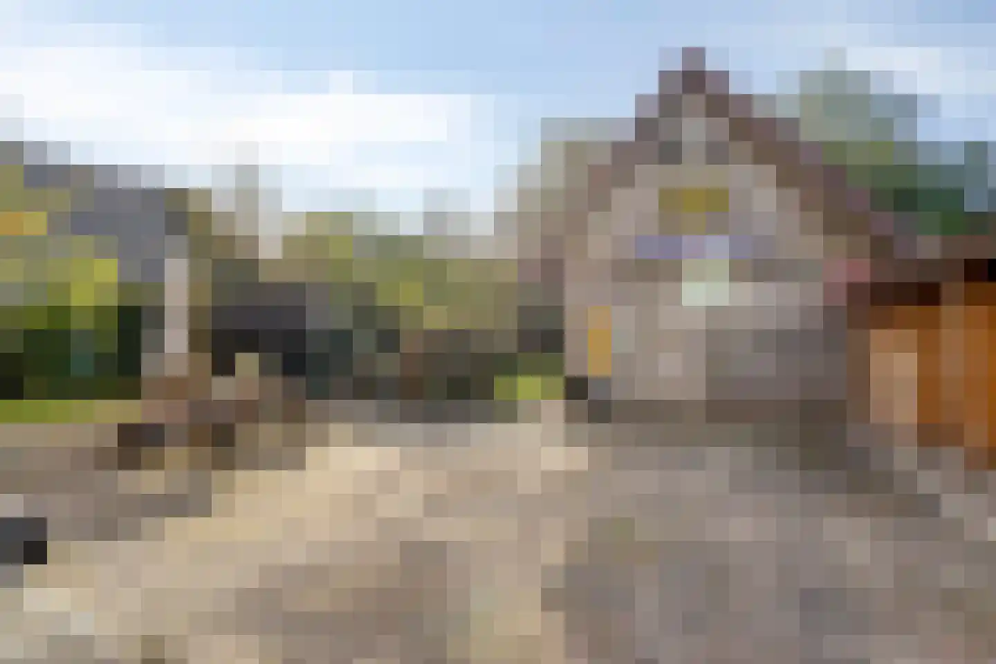 Lageweg 33 Noordlaren thumbnail 83