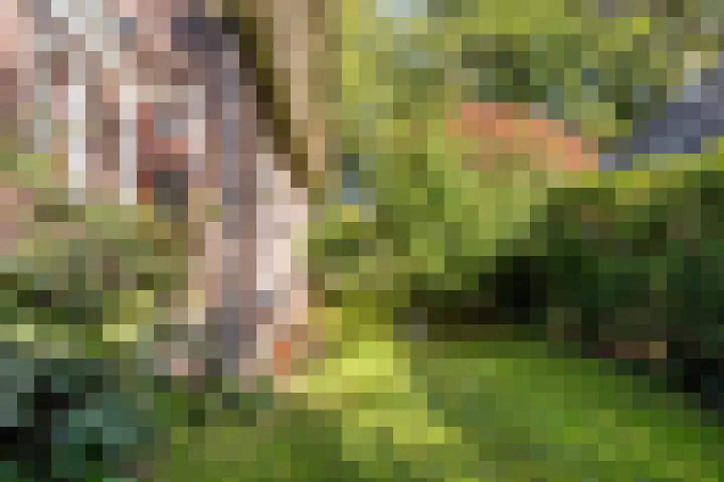 Lageweg 33 Noordlaren thumbnail 86