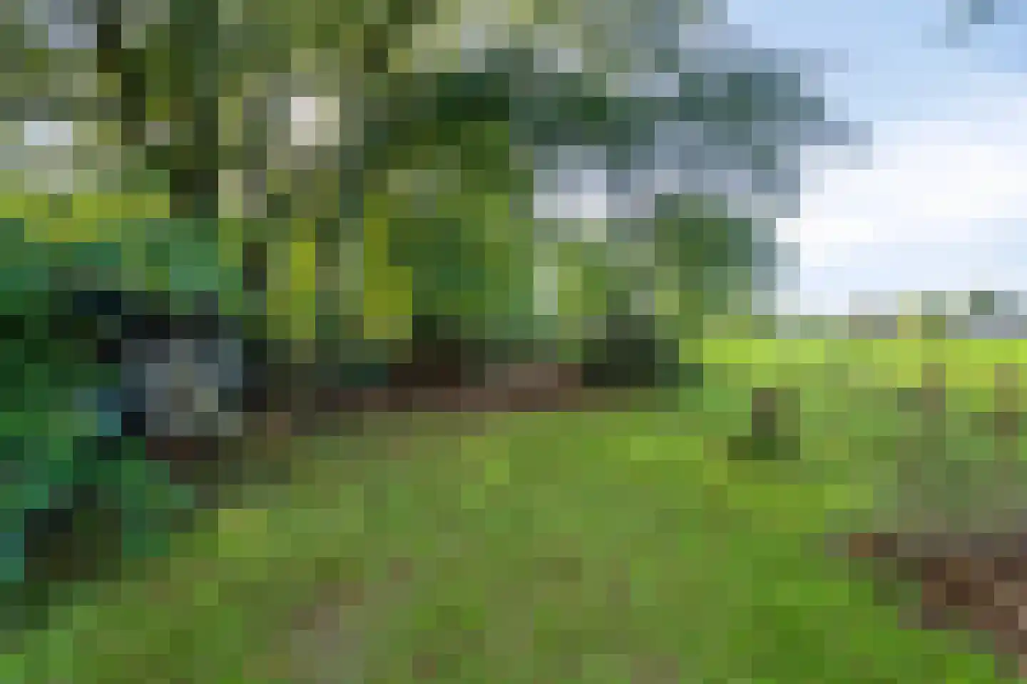 Lageweg 33 Noordlaren thumbnail 87