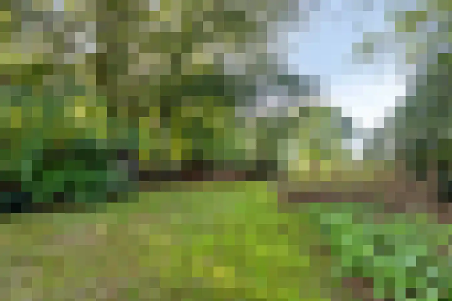 Lageweg 33 Noordlaren thumbnail 89