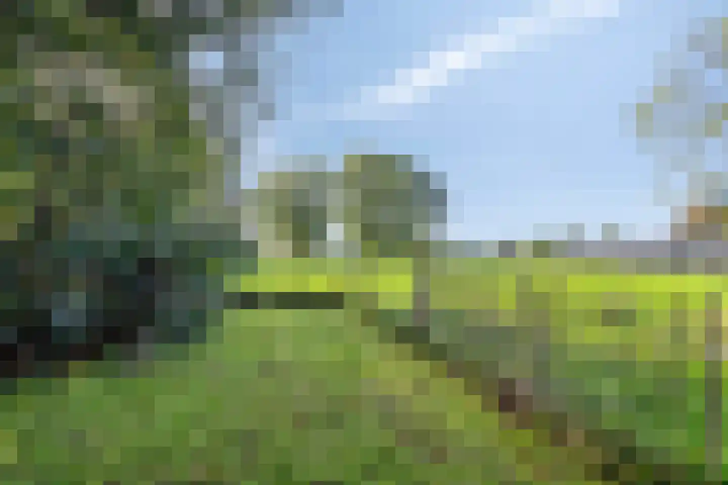 Lageweg 33 Noordlaren thumbnail 90