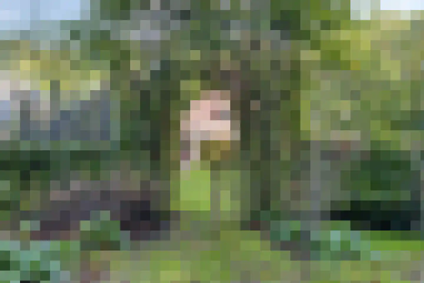 Lageweg 33 Noordlaren thumbnail 92